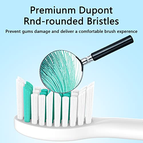 Aoremon Replacement Toothbrush Heads Compatible with Philips sonicare E-Series, 6 Pack Replacement Brush Heads Come with Caps