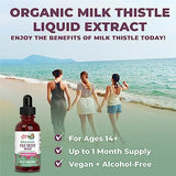 Milk Thistle Seed Liquid Drops by MaryRuth's | Sugar Free | USDA Organic Milk Thistle Drops | Herbal Tinctures | Unflavored | Vegan | Gluten Free | 30 Servings | 1 Fl Oz