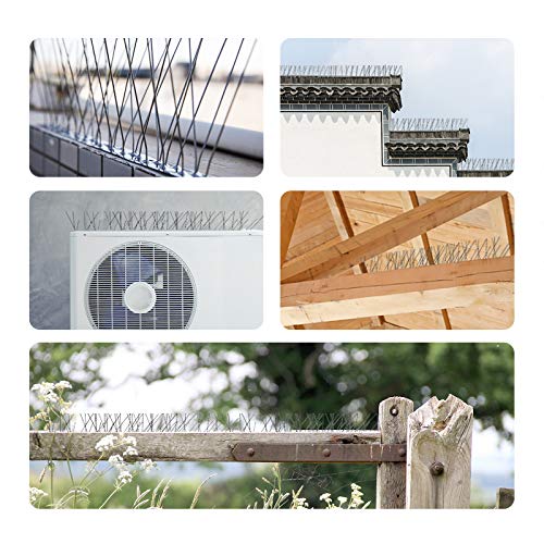 OFFO Bird Spikes with Stainless Steel Base, Durable Bird Repellent Arrow Pigeon Fence Kit for Deterring Small Bird, Crows and Woodpeckers, Covers 10.2 Feet(3.1m)