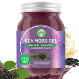 18.5OZ Sea Moss Gel, Organic Raw Wildcrafted Irish Seamoss Gel Immune and Digestive Support Vitamin Mineral Antioxidant Supplements, Elderberry,Mixed Berry Flavor