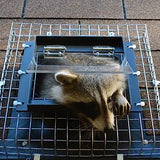 R108 Raccoon One Way Excluder Door | Live Trap Alternative | Raccoon Eviction