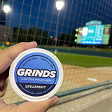 Grinds Coffee Pouches | 6 Cans of Spearmint | 18 Pouches Per Can | 1 Pouch eq. 1/4 Cup of Coffee (Spearmint)