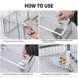 POlAFLEX Rat Traps Outdoor and Indoor, Single Door Cage Rodent Trap, Live Traps for Chipmunks, Catch and Release, Chipmunk Traps That Work for Rats, Mice, Chipmunks, and Other Small Size Animals