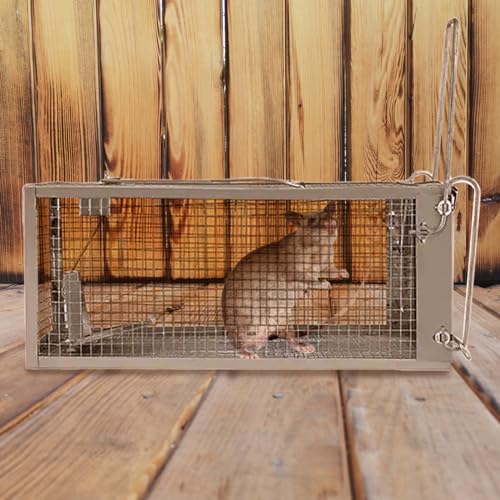 Humane Mouse and Rat Trap That Works 2 Pack 12.5x6.5x5.5, Small Rodent, Chipmunk,Squirrel Trap Cages | Catch and Release | Reusable and Durable | No Kill Animal Trap | for Indoor and Outdoor