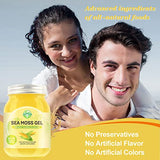 Sea Moss Gel, 18.5OZ Organic Irish Seamoss Gel Immune and Digestive Support Vitamin Mineral Antioxidant Supplements,Sweet Corn