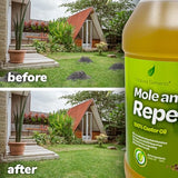 Natural Elements Mole and Vole Repellent | 100% Castor Oil | Pet Safe and Non Toxic | Food Grade | 128 oz (1 Gallon)