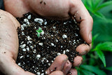 Autoflower Living Soil Concentrate for Super Soil