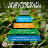 Mikro-Root, Trichoderma Fungi for Healthier Root Management. Solubilize Fixed Phosphate in The Soil to be readily Available to Plants (4 oz)