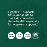 Standard Process Ligaplex II - Joint & Bone Support Supplement - Manganese Supplement with Vitamin B12, Vitamin A & Vitamin D - Skeletal System & Joint Support Supplement - 150 Capsules