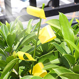 Garsum 84 Traps Sticky Houseplant Traps Gnat Yellow Insect Trap Indoor Fruit Fly Stakes Trap