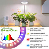 LORDEM Grow Light, LED Plant Light for Indoor Plants Growing, Full Spectrum Desk Growth Lamp with Automatic Timer for 4H/8H/12H, 4 Dimmable Levels, Height Adjustable 9.8"-30.6", Pack of 2