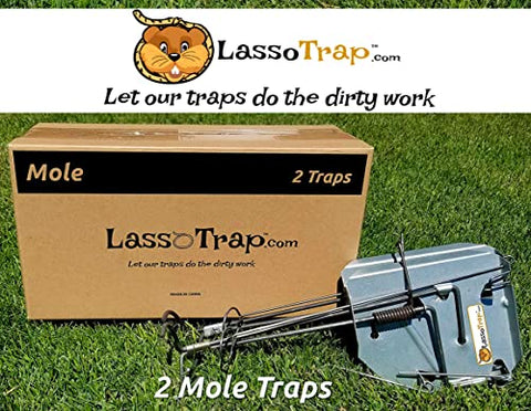 LASSO TRAP Mole (Small) Trap (Pack of 2) Galvanized & Oil Hardened Steel//Super Cost-Effective, Reusable, & Durable Animal Trap Best in The Lawn, Yard, Garden, Farm, & All Outdoor Settings