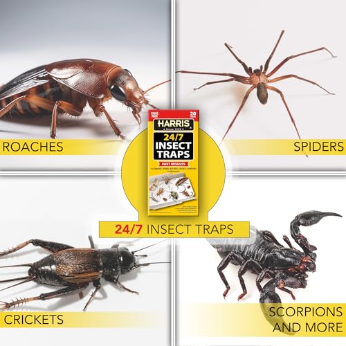 Harris 24/7 Insect Trap for Roaches, Spiders, Bed Bugs, Crickets, Scorpions and More, 20 Count Value Pack