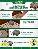 RESCUE! Ant Baits – Indoor Ant Killer, Ant Trap Alternative - 4 Pack (24 Bait Stations)