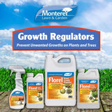 Monterey - Florel Plant Growth Regulator - Fruit Tree Spray - Florel Fruit Eliminator Spray for Trees - Apply Using Sprayer - 1 Quart