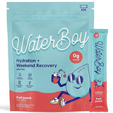 Waterboy Weekend Recovery | 3,200mg Electrolyte Powder Packets | Ginger + L-Theanine + Vitamins | No Sugar, All Natural, Gluten Free | 24 Drink Stick Mixes (Fruit Punch)