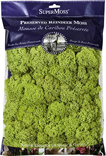 Super Moss 21669 Reindeer Moss Preserved, Chartreuse, 8oz (200 cubic inch)