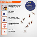 Homeplus™ Ant Killer AB, Metal Ant Bait, Ants Killer for House, Ant Traps Indoor & Outdoor, 12 Pack