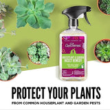 Aunt Fannie’s Houseplant & Garden Insect Remedy, Indoor and Outdoor Plant Insect Killer (6-Pack)