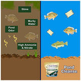 Pond Cleanse 10 lb Treats 2.5 Acres Natural Pond Cleaner & Water Clarifier Packets - Easy-to-use Pond Treatment