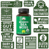 Organic Sea Moss Capsules. Wild Harvested Sea Moss Raw Organic Vegan Supplement from Red Algae Seaweed. 100% Whole Extract Raw Irish SeaMoss Superfood Pills. for Gut, Respiratory, Immune Support.