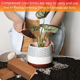 Legigo 8 Pack Premium Coco Coir Brick for Plants- 100% Organic Compressed Coconut Coir Bricks Starting Mix, Coco Coir Fiber Coconut Husk for Planting, Gardening, Potting Soil Substrate, Herbs