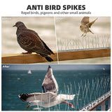 BUGG OFF - Bird & Rodent Spikes, Unique Spike Pattern effecitviely deteres Pesky Pigeons, Squirrels, Raccoons. Installs on Fences, Gates, Roofs, Walls and More! (12 Feet, Stainless Steel)