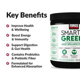 FORCE FACTOR Smarter Greens Daily Wellness Powder 3-Pack to Support Energy, Immunity & Digestion, Greens Powder, Superfood Powder with Vitamins, Minerals & Probiotics, Unflavored, 90 Servings