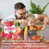 softbear Sea Moss Gel Strawberry Flavored 12 OZ - Wildcrafted Irish Sea Moss Gel Organic Raw 92 Minerals and Vitamins Non-GMO Gluten-Free Vegan Supplements Immune Digestive Support