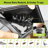 Pelrayt Rat & Mouse Traps 12-Pack - for House Indoor Outdoor, Pre-Baited Heavy Duty Non-Toxic Bulk Glue Boards，Easy to Set, Snake, Mice, Spider Pet Safe Pest Control