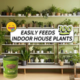 EarthPods Organic Indoor Plant Fertilizer Spikes – All Purpose House Plant Food Sticks (100 Concentrated Capsules) – Potted Plants – Best Gardening Gifts for Women – Made in USA