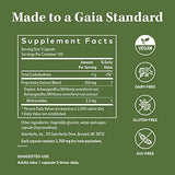Gaia Herbs, Ashwagandha Root Vegan Liquid Phyto Capsules - Stress Relief, Immune Support Supplement, Balanced Energy Levels and Mood , 120 Ct (Pack of 1)