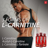 iSatori L-Carnitine LS3 3000, Lemon Lime Liquid L-Carnitine with Acetyl L-Carnitine, L-Carnitine L-Tartrate, Stimulant Free Pre Workout, No Calories, Sugar, Gluten, Keto-Friendly (32 Servings)