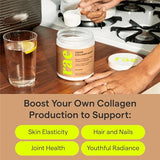 Rae Wellness Vegan Collagen Boost - Collagen Production + Glowing Skin Supplement with Vitamin C & Bamboo Extract - Plant Based Skin Support - 9.5 oz (15 Servings)