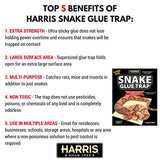 Harris Supersized Snake Glue Trap - Extra Strength, Multipurpose (3-Pack)