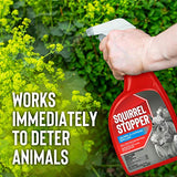 Squirrel Stopper Animal Repellent - Safe & Effective, All Natural Food Grade Ingredients; Repels Squirrels and Chipmunks; Ready to Use, 32 fl. oz. Trigger Spray Bottle