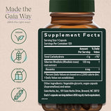 Gaia Herbs Rhodiola Rosea - Stress Support Supplement Traditionally for Supporting Healthy Stamina and Endurance - With Siberian Rhodiola Root Extract - 120 Vegan Liquid Phyto-Capsules (60-Day Supply)