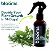 Blooms Super Sprout | All-Purpose Liquid Plant Food for Home Gardening | Ready-to-Use 10-3-3 Foliar Spray Kelp for Indoor and Outdoor Plants | Micronutrients for Sustainable and Vibrant Plant Growth