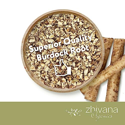 Zhivana Organics Burdock Root Organic Tea – Liver Cleanse Tea Dry Burdock Tea Organic, Burdock Roots Bulk, Everyday Liver Detox Tea Organic, Diuretic Tea for Water Retention