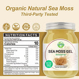 Sea Moss Gel, Organic Raw Flavored Irish Seamoss Gel Immune and Digestive Support Vitamin Mineral Antioxidant Supplements, Original 18.5oz
