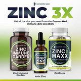 Zinc Supplements - Immunity + Skin + Reproductive Health Minerals - Zinc Chelate Immune Booster for Kids & Adults (2 Pack, Zinc MAXX)