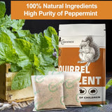 ANEWNICE Squirrel Repellent Pouches, Natural Squirrel Repellent Outdoor, Rodent Repellent, Squirrel Repellent for Attic and Cars, Squirrel Repellent for Plants and Garden - 10 Pouches