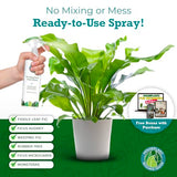 Houseplant Leaf Shine Spray - Leaf Polish, Gloss, and Shine, Perfect for House Plants and Foliage