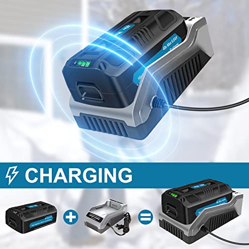 Aoasur Battery Replacement for Snow Joe 40V and Sun Joe 40V Batt