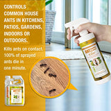 EcoVenger Ant Killer & Crawling Insect Killer (Citrus Scent) 16 OZ, Kills Fast in Minutes, Also Kills Spiders, Centipedes & More, Repels with Residual, Natural & Non-Toxic, Children & Pets Safe