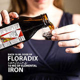 Floradix, Floradix Iron & Herbs Vegetarian Liquid Supplement for Energy Support, 17 Oz