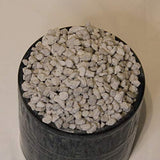 Horticultural Pumice - 14 Dry quarts - Cactus Succulent Soil Amendment