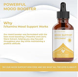 Mood Support Supplement | May Help to Improve Mood, Reduce Stress, Enhance Cognitive Function & More | Stress Relief Supplement | L Theanine | Lions Mane Supplement | L Theanine Supplement | 1 fl oz