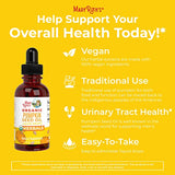 MaryRuth's Pumpkin Seed Oil Liquid Drops | Herbal | Urinary Tract Support | Hair & Skin Health | USDA | Sugar/Gluten Free | Vegan | 2 Month Supply | 1 Fl Oz