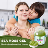 Sea Moss Gel, Flavored Organic Raw Irish Seamoss Gel Immune and Digestive Support Vitamin Mineral Antioxidant Supplements for Men Women Kids, Apple 18.5oz